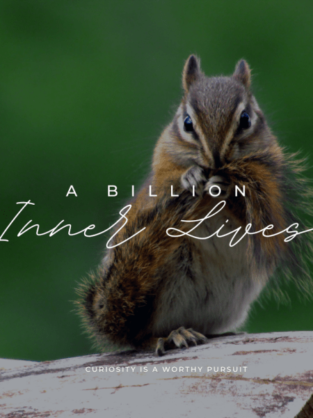 A Billion Inner&nbsp;Lives